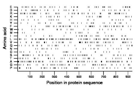 amino acid map