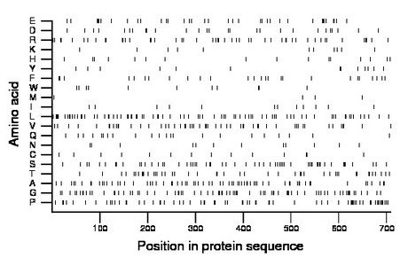 amino acid map