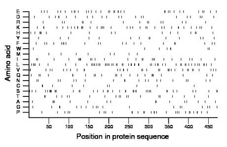 amino acid map