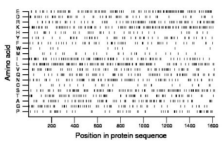 amino acid map