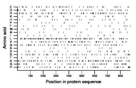 amino acid map