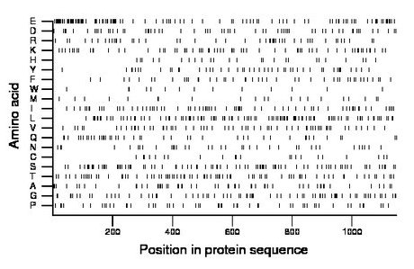 amino acid map