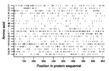 amino acid map