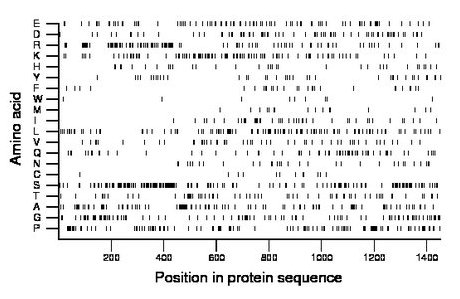 amino acid map