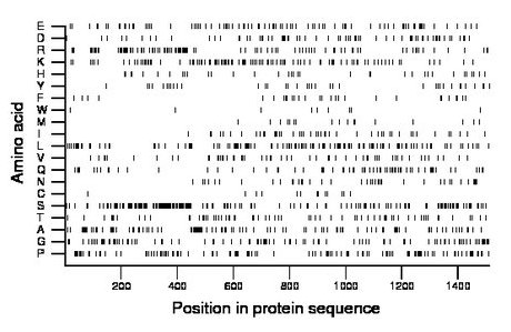 amino acid map