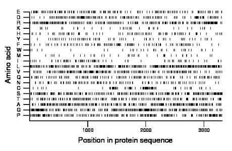 amino acid map