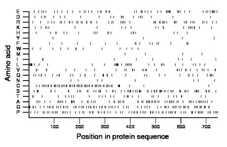 amino acid map