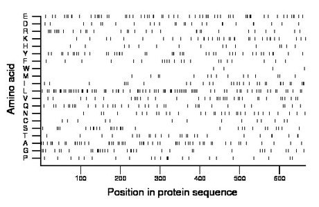 amino acid map