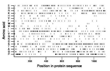 amino acid map