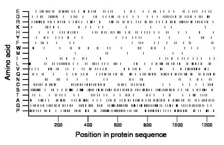 amino acid map