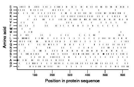 amino acid map