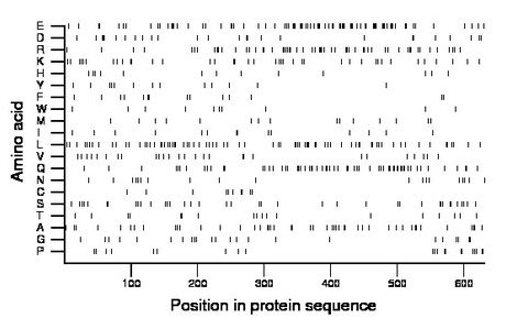 amino acid map