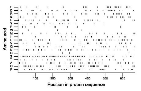 amino acid map