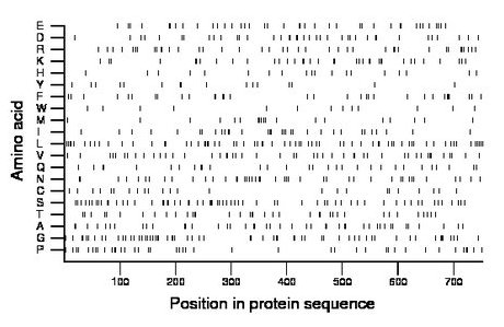 amino acid map