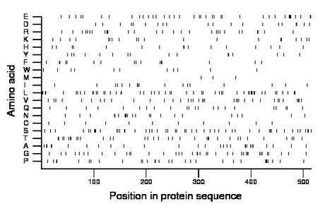 amino acid map