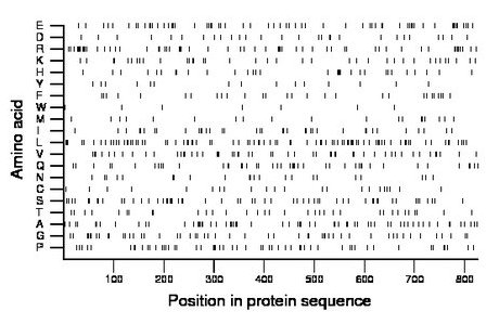 amino acid map