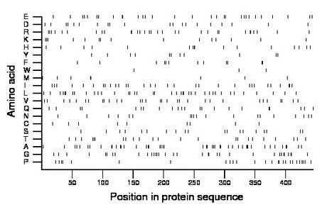 amino acid map