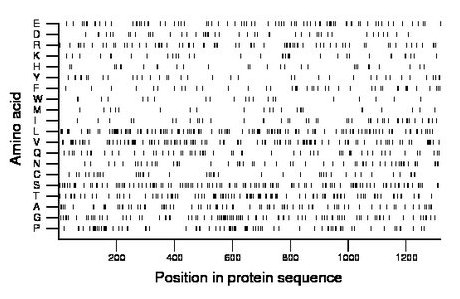 amino acid map