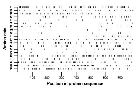 amino acid map