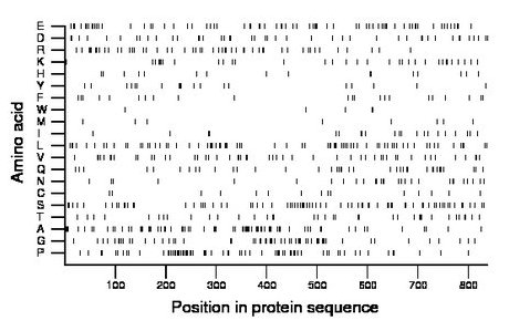 amino acid map