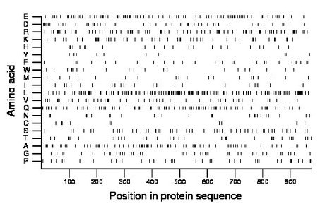 amino acid map