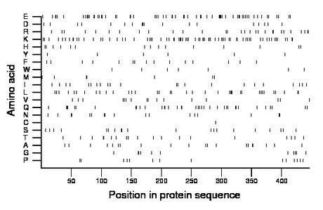 amino acid map