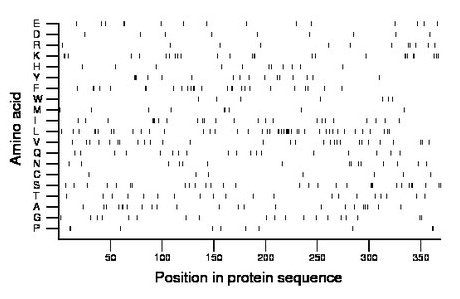 amino acid map