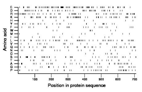 amino acid map