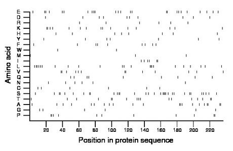 amino acid map