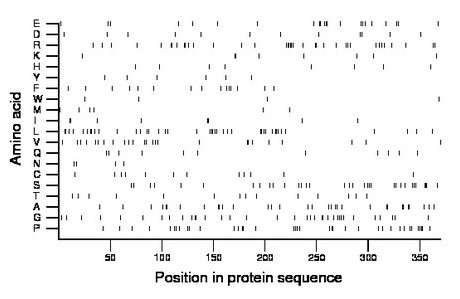 amino acid map