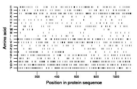 amino acid map