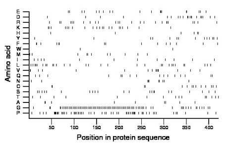 amino acid map