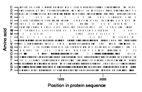 amino acid map