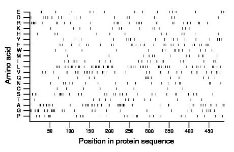 amino acid map