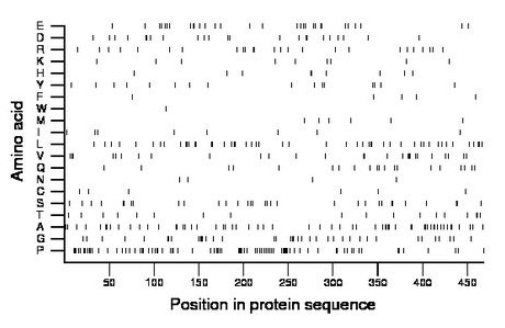 amino acid map