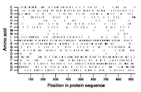 amino acid map