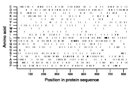 amino acid map