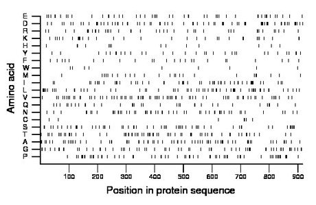 amino acid map