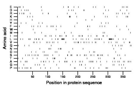 amino acid map