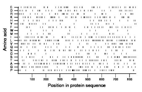 amino acid map