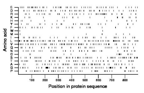 amino acid map