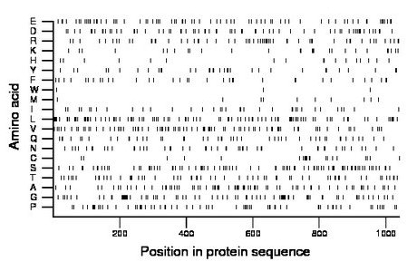 amino acid map