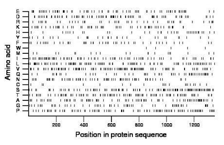 amino acid map