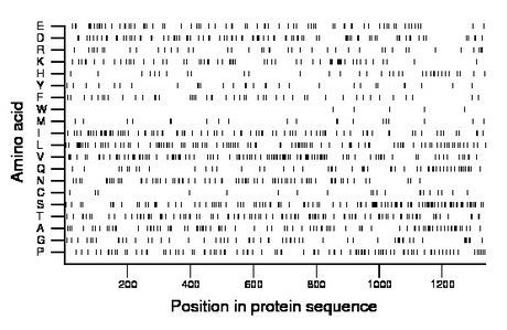 amino acid map