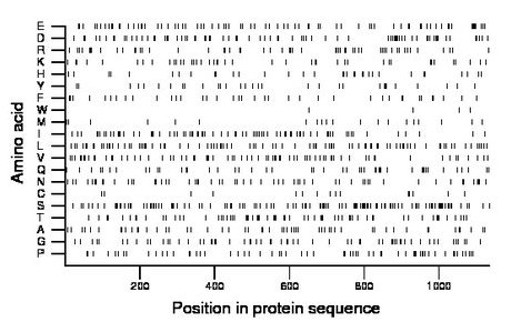 amino acid map