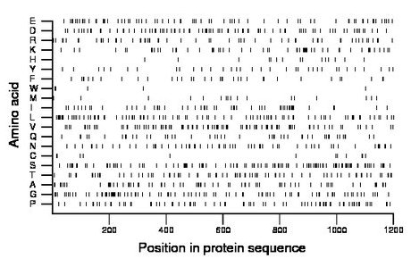 amino acid map