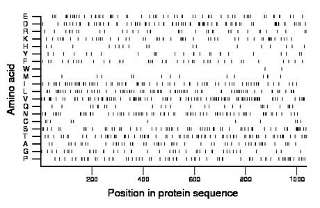 amino acid map