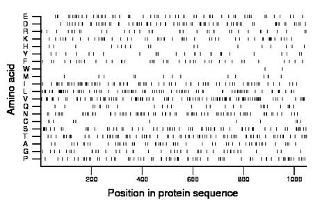 amino acid map