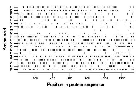 amino acid map