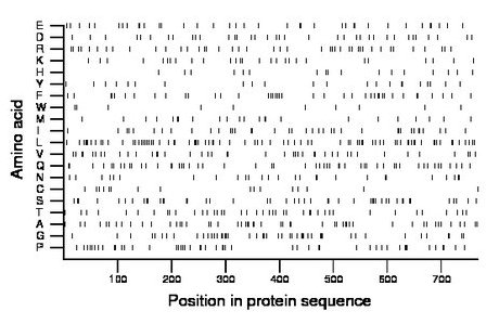 amino acid map